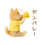 ポジティブな癒ししばいぬ（個別スタンプ：29）