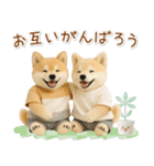 ポジティブな癒ししばいぬ（個別スタンプ：30）