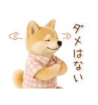 ポジティブな癒ししばいぬ（個別スタンプ：33）