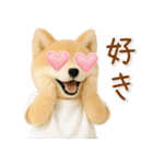 ポジティブな癒ししばいぬ（個別スタンプ：34）