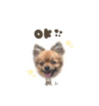 ゆきちくん☆deformation（個別スタンプ：3）