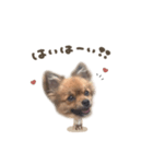 ゆきちくん☆deformation（個別スタンプ：4）