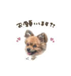 ゆきちくん☆deformation（個別スタンプ：6）