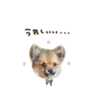 ゆきちくん☆deformation（個別スタンプ：7）