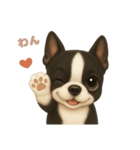 ワンだふる｜ボストンテリア（個別スタンプ：9）
