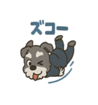リアクションMAXスーツシュナウザー（個別スタンプ：11）