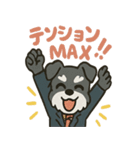 リアクションMAXスーツシュナウザー（個別スタンプ：20）