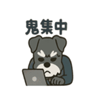 リアクションMAXスーツシュナウザー（個別スタンプ：23）