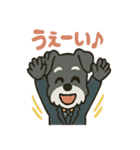 リアクションMAXスーツシュナウザー（個別スタンプ：25）