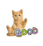 子猫の福ちゃん（個別スタンプ：10）
