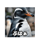 ペンギン一言エモ図鑑40（個別スタンプ：5）
