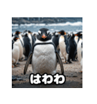 ペンギン一言エモ図鑑40（個別スタンプ：7）