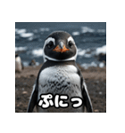 ペンギン一言エモ図鑑40（個別スタンプ：8）