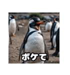 ペンギン一言エモ図鑑40（個別スタンプ：9）