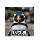 ペンギン一言エモ図鑑40（個別スタンプ：11）