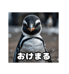 ペンギン一言エモ図鑑40（個別スタンプ：13）