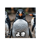 ペンギン一言エモ図鑑40（個別スタンプ：14）