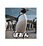 ペンギン一言エモ図鑑40（個別スタンプ：15）