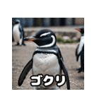 ペンギン一言エモ図鑑40（個別スタンプ：17）