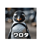 ペンギン一言エモ図鑑40（個別スタンプ：19）