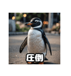 ペンギン一言エモ図鑑40（個別スタンプ：20）