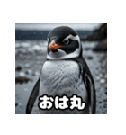ペンギン一言エモ図鑑40（個別スタンプ：22）