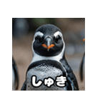 ペンギン一言エモ図鑑40（個別スタンプ：30）