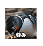 ペンギン一言エモ図鑑40（個別スタンプ：32）