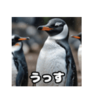 ペンギン一言エモ図鑑40（個別スタンプ：36）