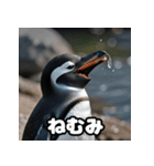 ペンギン一言エモ図鑑40（個別スタンプ：37）