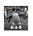 ペンギン一言エモ図鑑40（個別スタンプ：38）