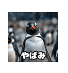 ペンギン一言エモ図鑑40（個別スタンプ：39）