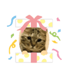 サバくんの日常（個別スタンプ：4）