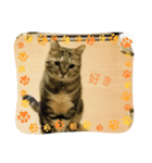 サバくんの日常（個別スタンプ：6）
