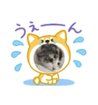 こねことスタンプ（個別スタンプ：1）