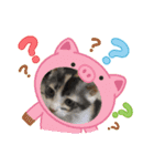 こねことスタンプ（個別スタンプ：2）
