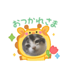 こねことスタンプ（個別スタンプ：7）