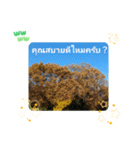 レッツトライ摩訶不思議日常挨拶バンコク（個別スタンプ：32）