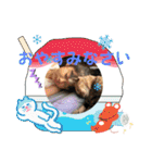 色々な思い出スタンプ（個別スタンプ：6）