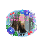 色々な思い出スタンプ（個別スタンプ：9）