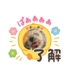 色々な思い出スタンプ（個別スタンプ：12）