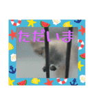 色々な思い出スタンプ（個別スタンプ：14）