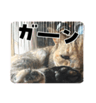 色々な思い出スタンプ（個別スタンプ：16）