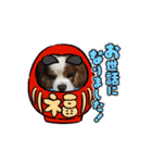 老犬キャバリアスタンプ（個別スタンプ：3）
