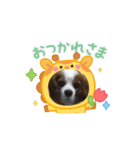 老犬キャバリアスタンプ（個別スタンプ：4）