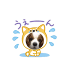 老犬キャバリアスタンプ（個別スタンプ：6）