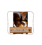 たからです。（個別スタンプ：1）