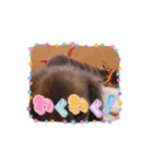 たからです。（個別スタンプ：8）
