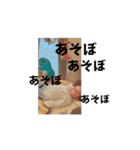 うごきらい（個別スタンプ：8）