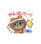 猫のチェブラーシカ8 withボム（個別スタンプ：15）